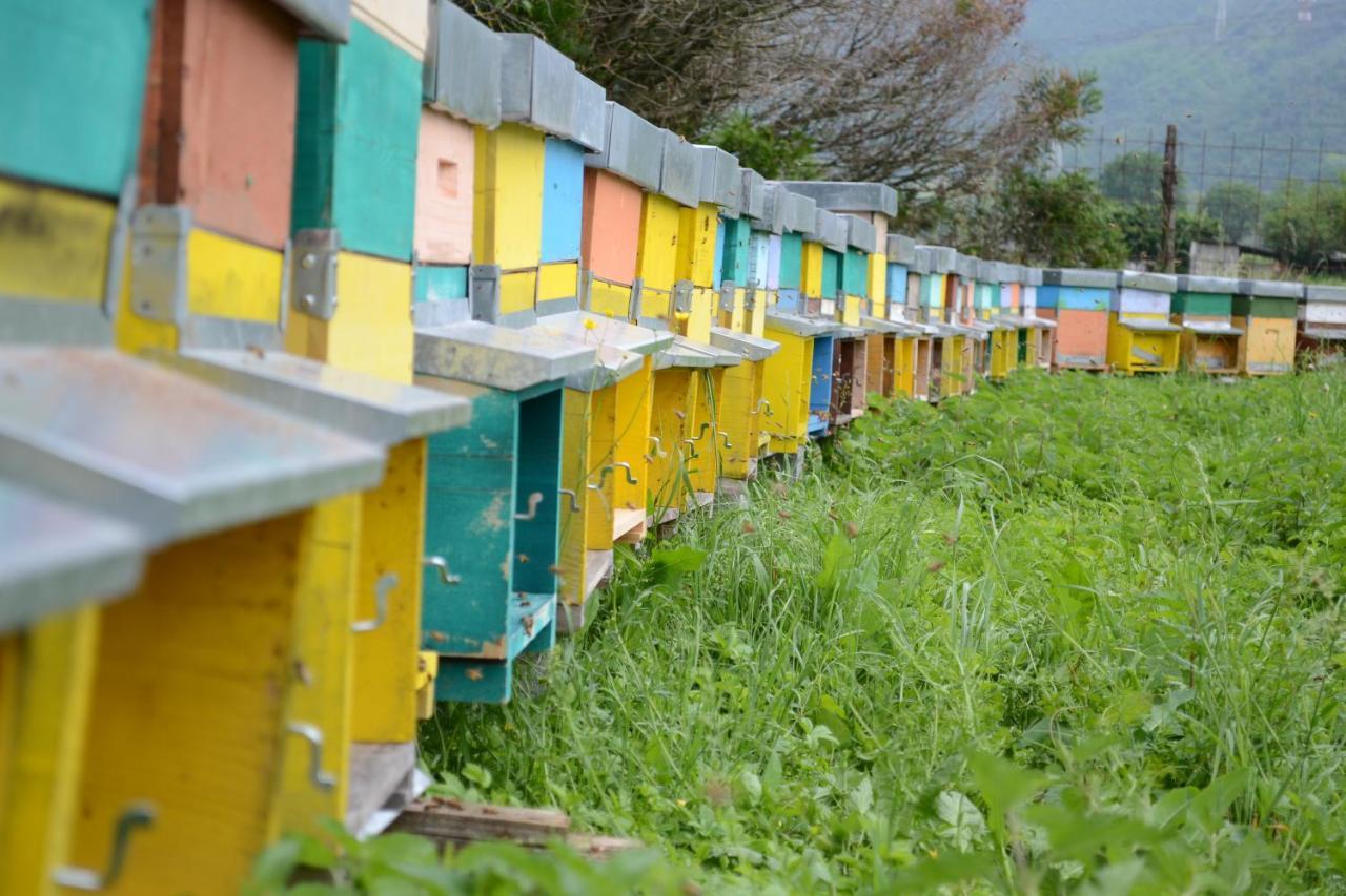 Agriturismo Dalla Natura La Salute Giustino Ngoại thất bức ảnh