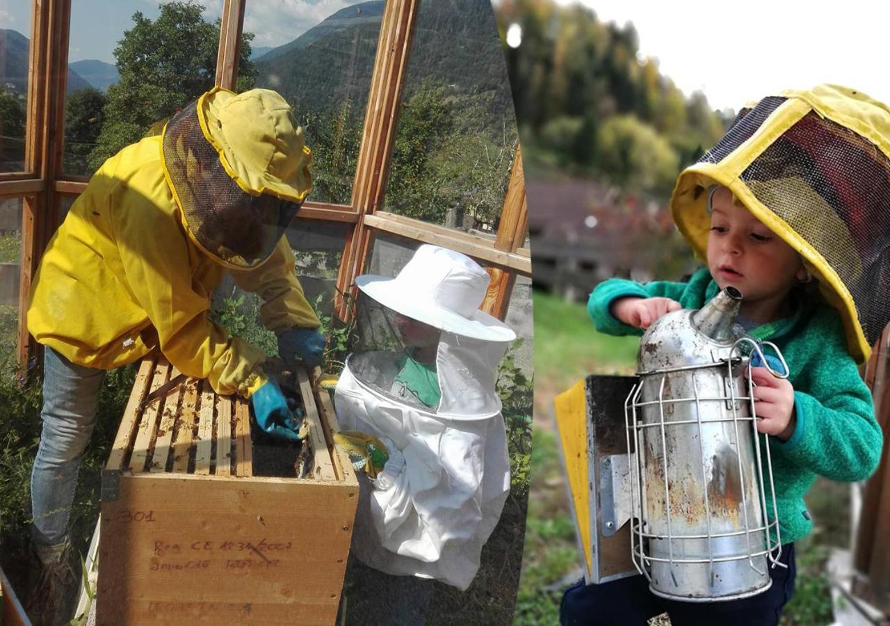 Agriturismo Dalla Natura La Salute Giustino Ngoại thất bức ảnh